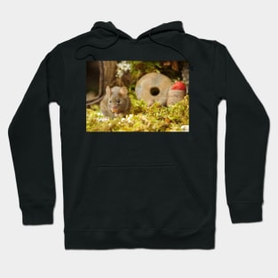 Wild  cute garden mouse Hoodie